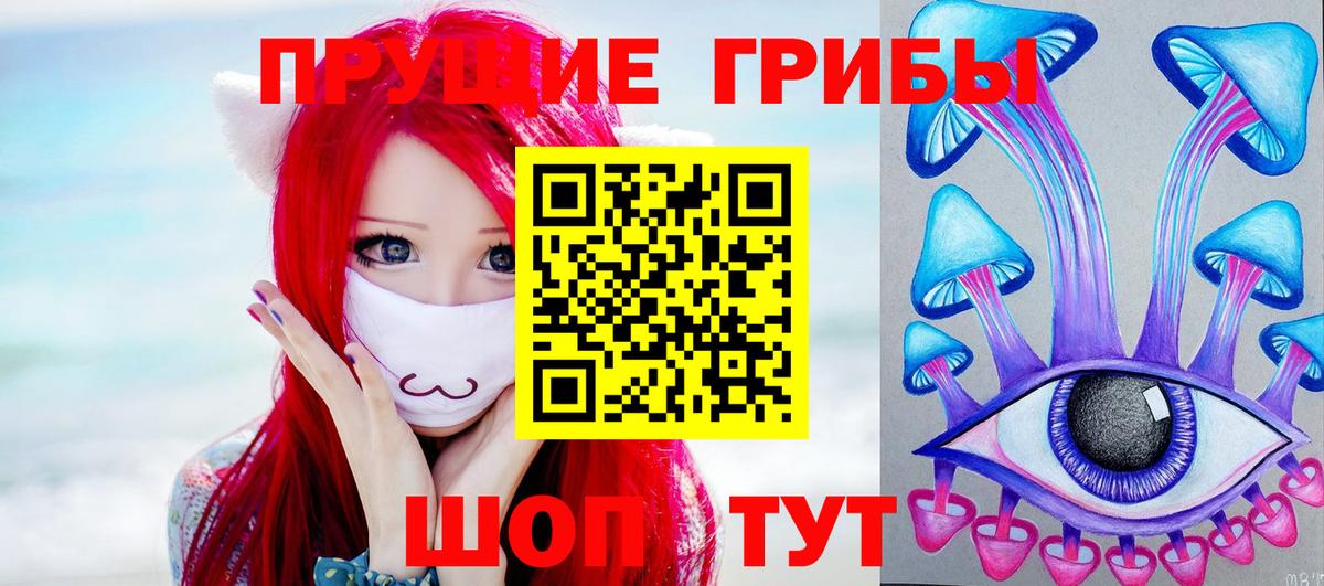 Осинники  Галлюциногенные грибы прущие грибы  Псилоцибиновые грибы GOLDEN TEACHER  Вход с VPN 